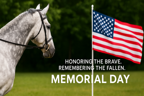 🇺🇸 Memorial Day – Honoring U.S. Heroes, Riding with Purpose