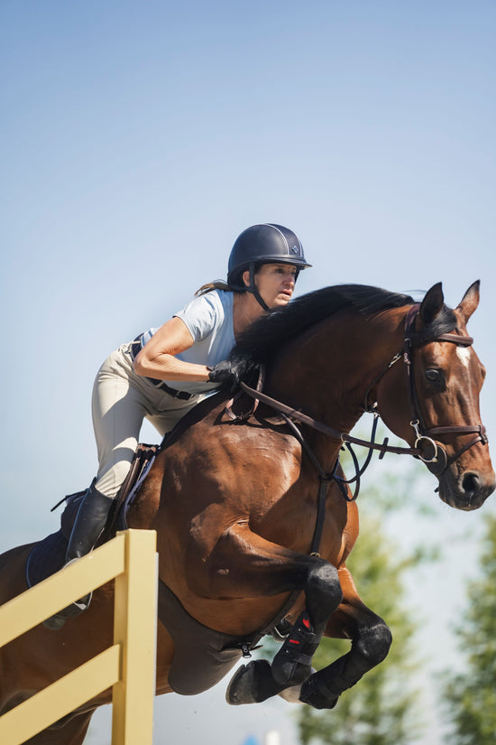 Show Jumping 101: Key Skills & Training Strategies for Clear Rounds