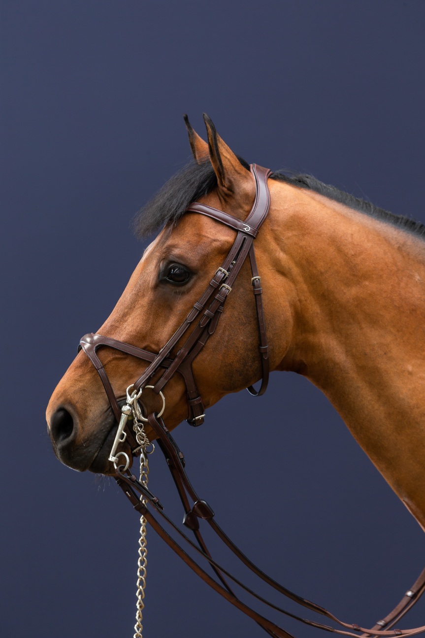 headpiece double bridle