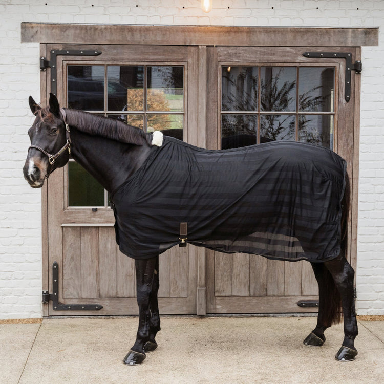 summer horse fly rug