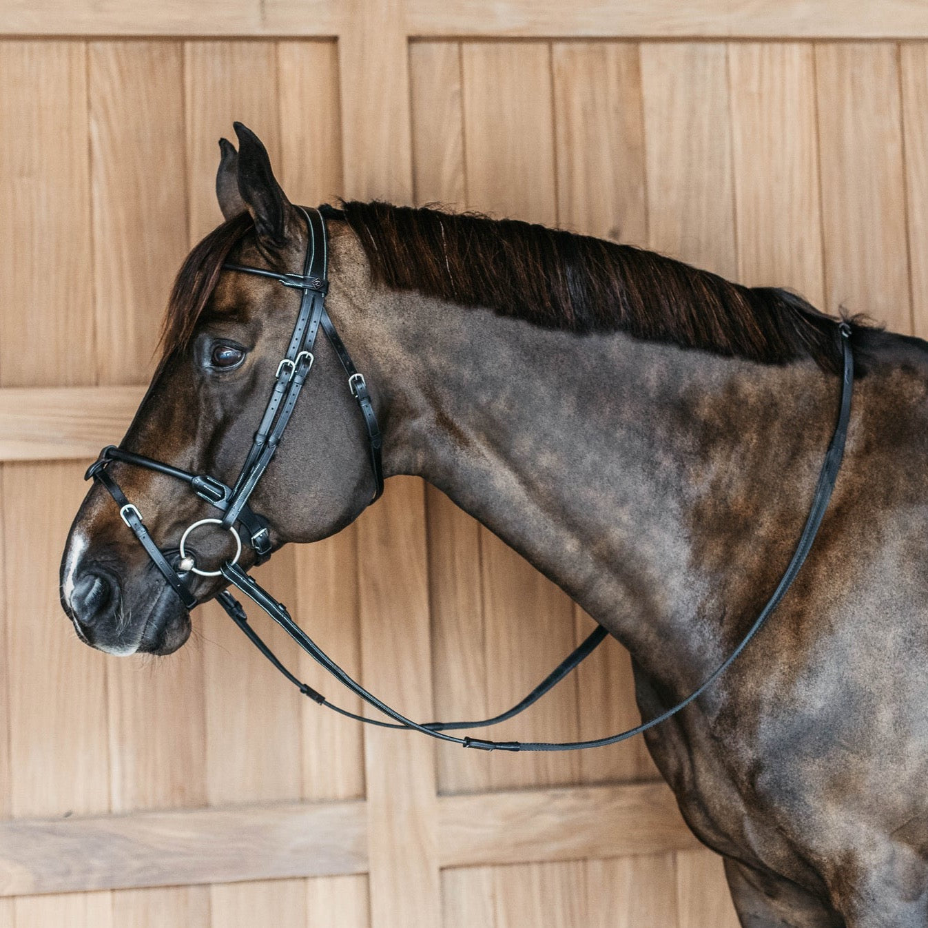 lightweight bridle