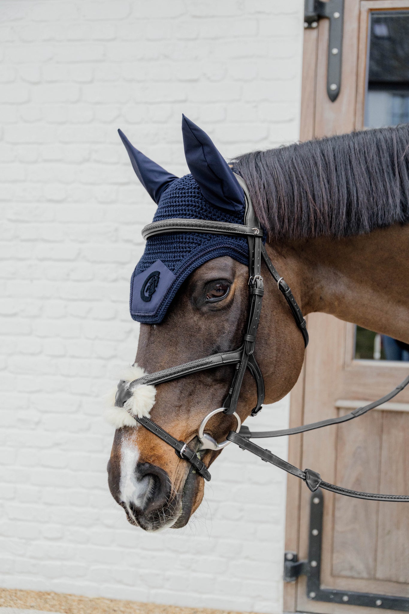 Plaited leather bridle with figure 8 noseband