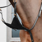 horse training aid