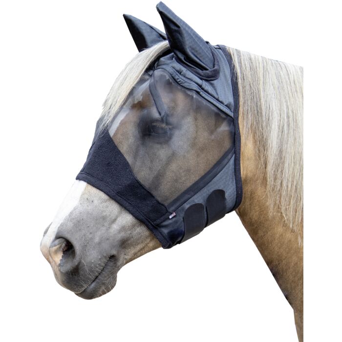 Equine fly protection