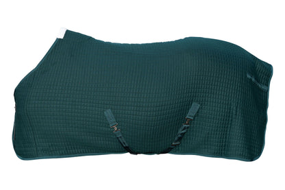 Winter cooler blanket for horses