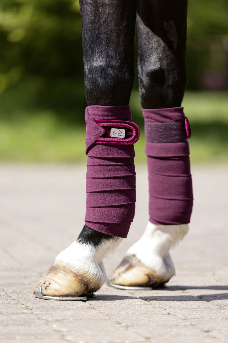 Bordeaux colored bandages for horses