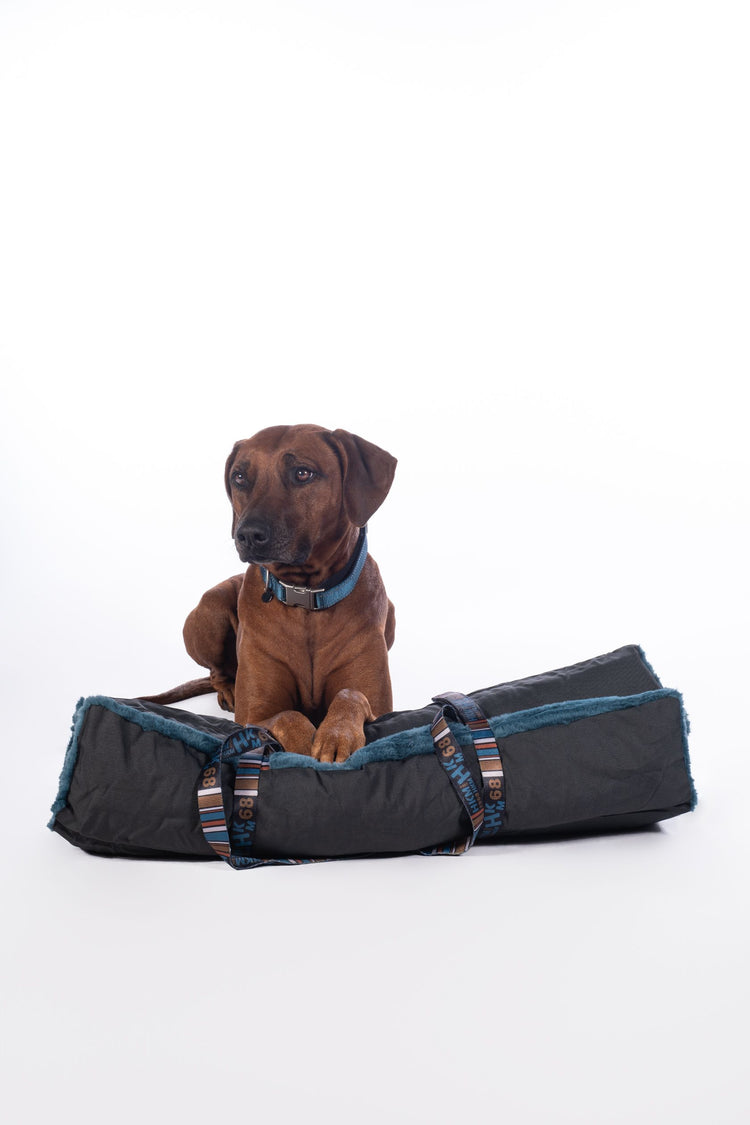 dog travel blanket