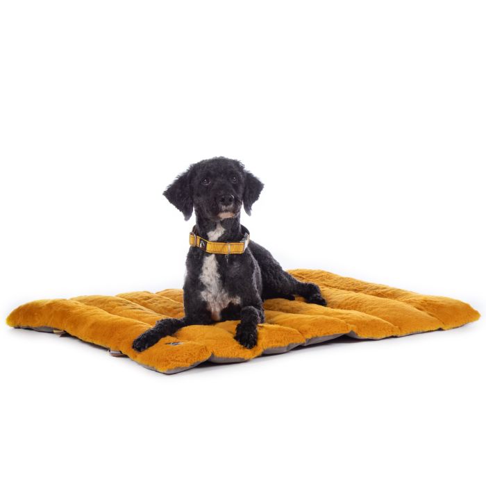 waterproof dog blanket