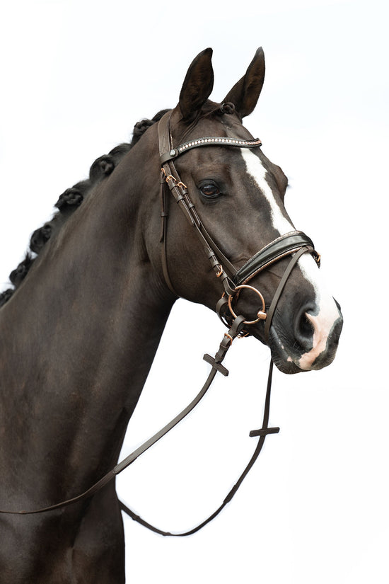 Bridle with rosegold details