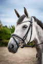 HKM Flash noseband bridle