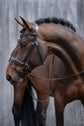 Horse bridle in rose gold