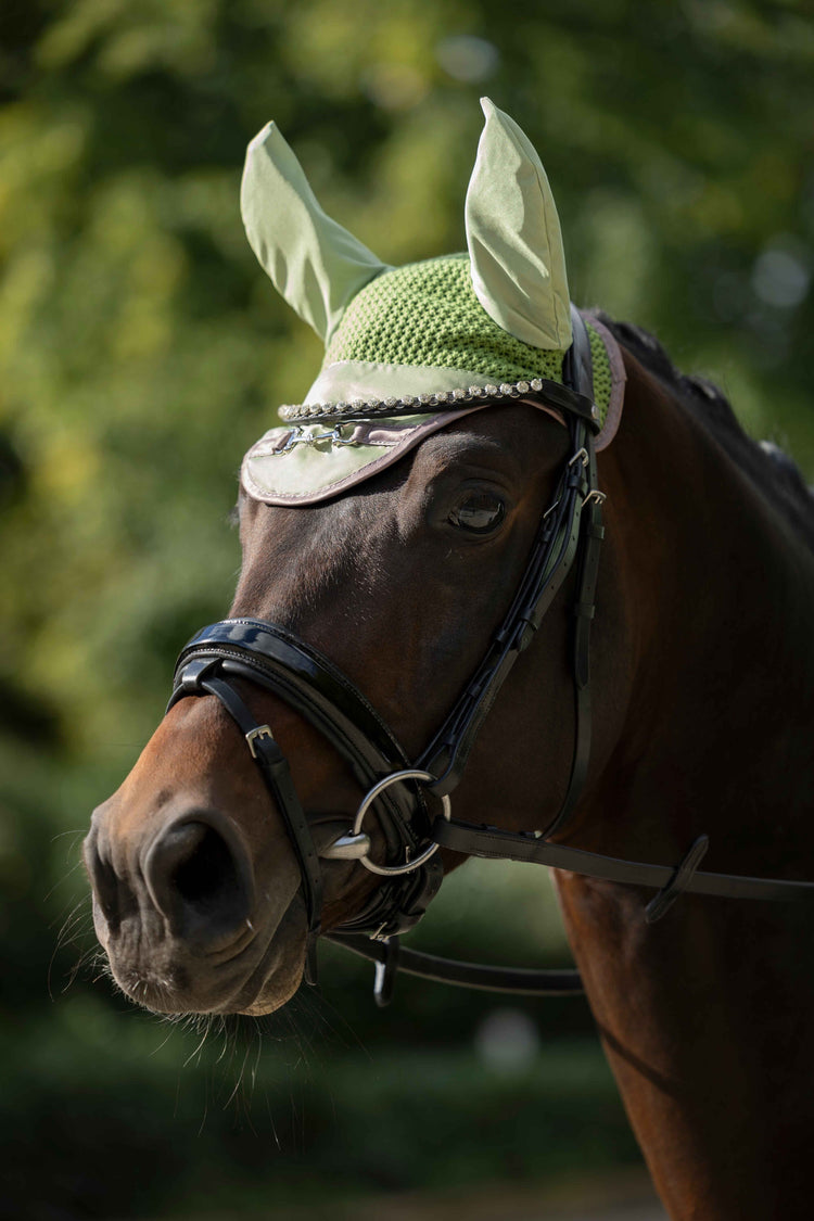 Ear Bonnet Saddle Pad Golden Bit