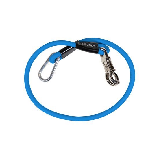 Stable accessory lead