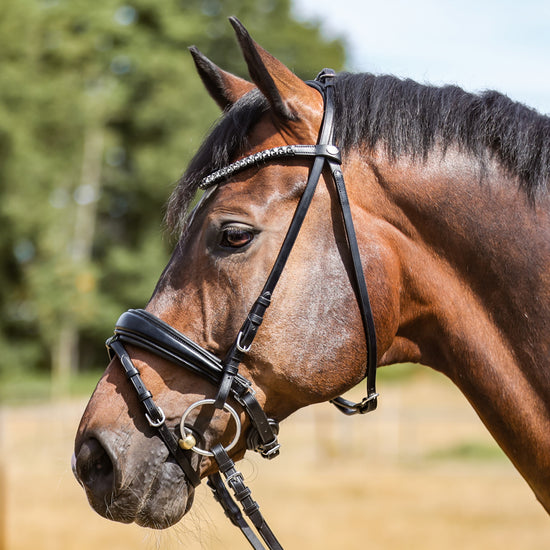 Integrated flash bridle