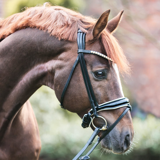 Anatomical Dressage Bridle with patent noseband