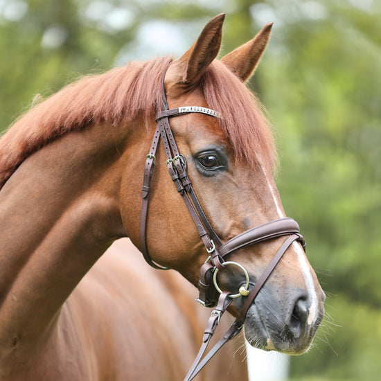 Brown leather dressage bridle