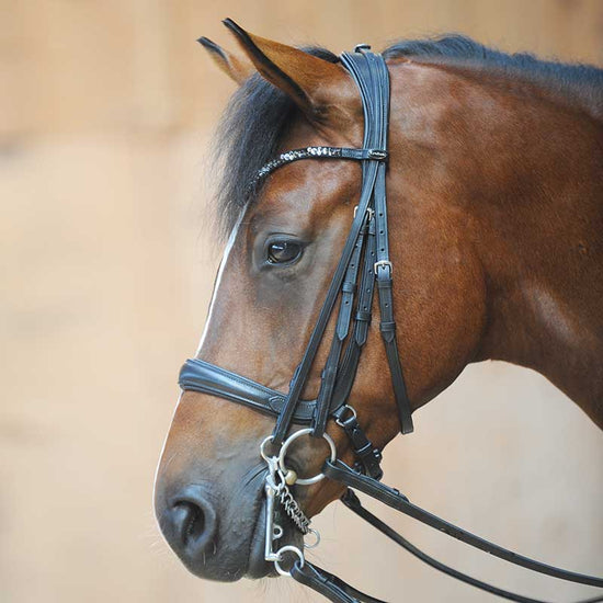 Double bridle with removable flash strap
