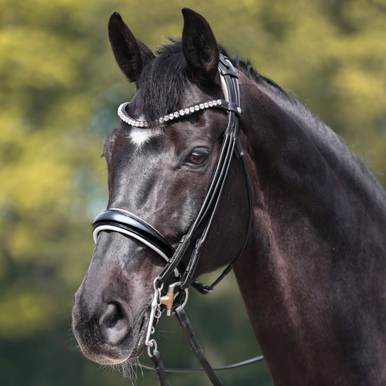 Round leather double bridle