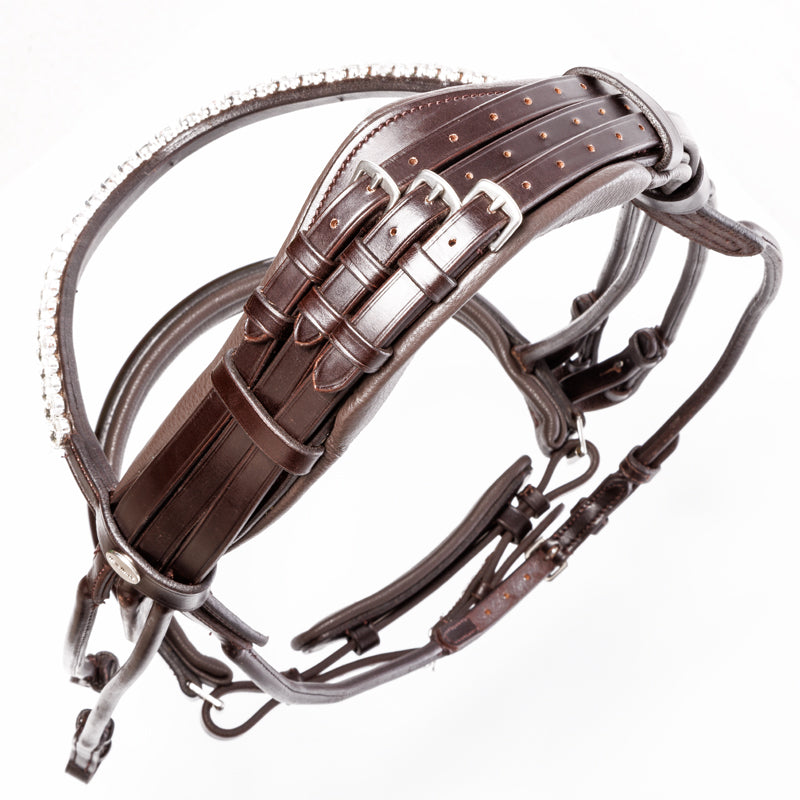 Double bridle with adjustment on headpiece