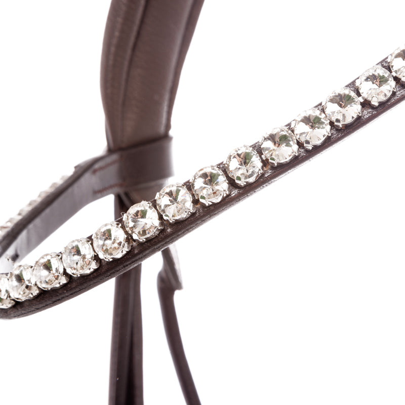 Double Bridle with sparkly browband