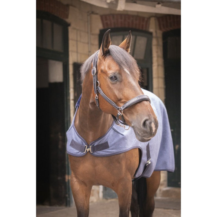 PADDOCK Horse blanket