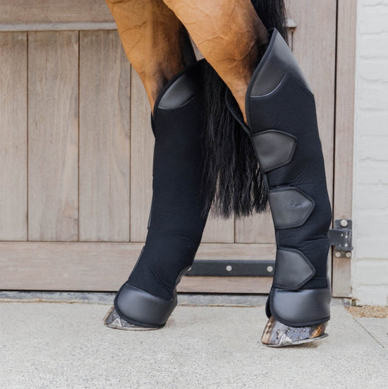 horse travel boots