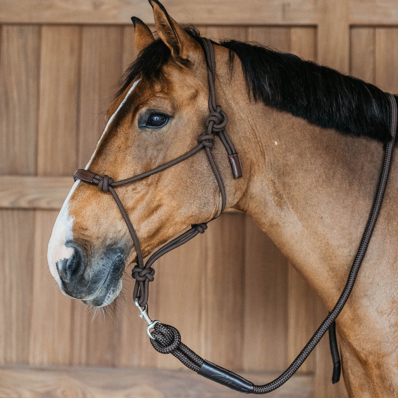 equestrian lead rope with removable snap