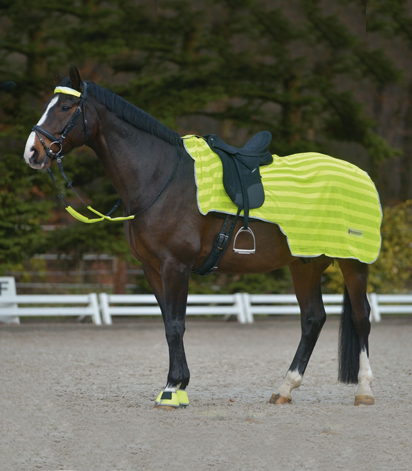 Lightweight reflective exercise sheet for horses