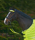 Reflective equipment for horse riding