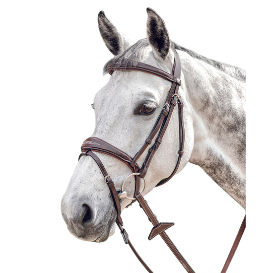 Anatomic show jumping bridle