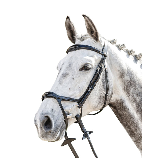 Bridle with drop noseband and flash strap