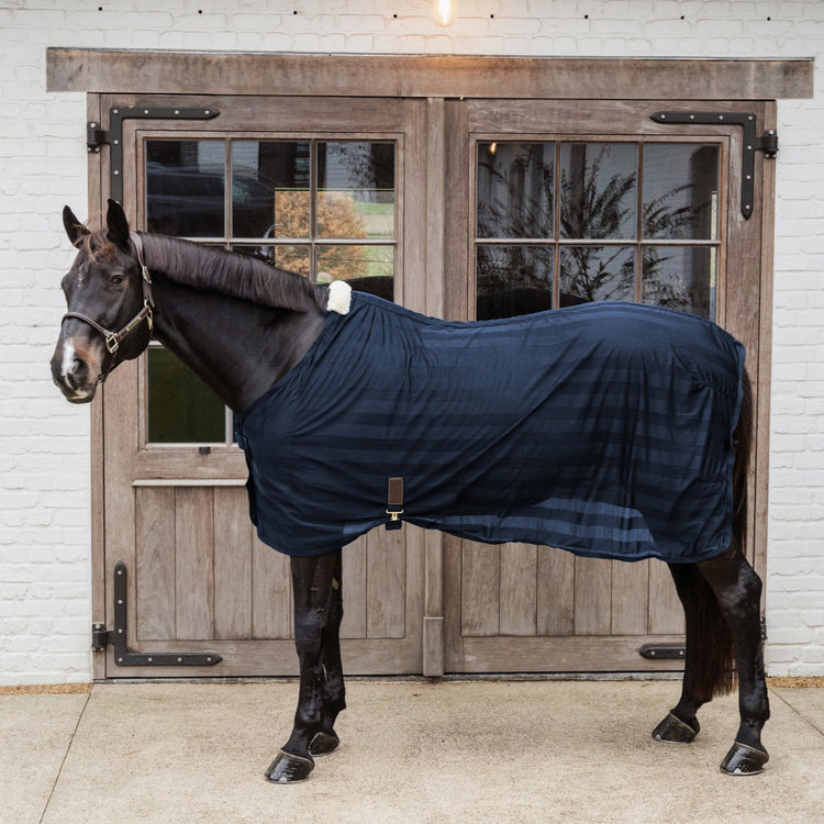 horse fly rug