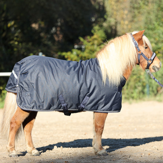 Shetland Pony outdoor rug