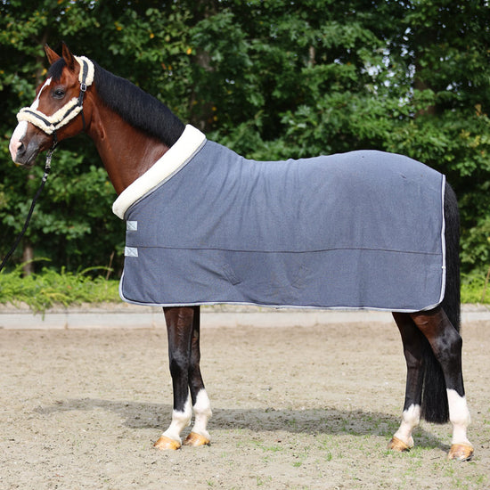 Winter Transport rug for horses with fur