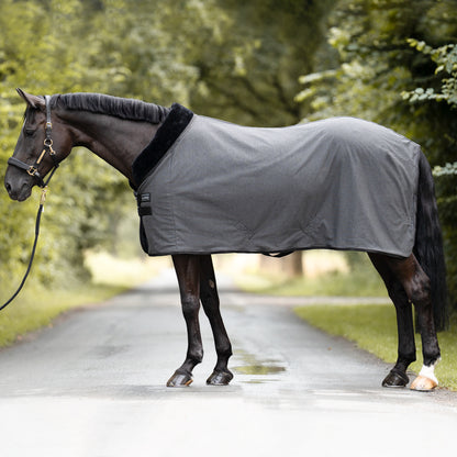 Transport Rug Elegance