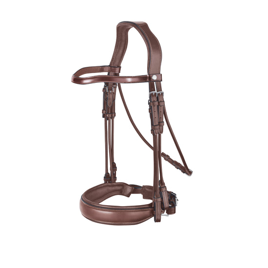 Renaissance double bridle