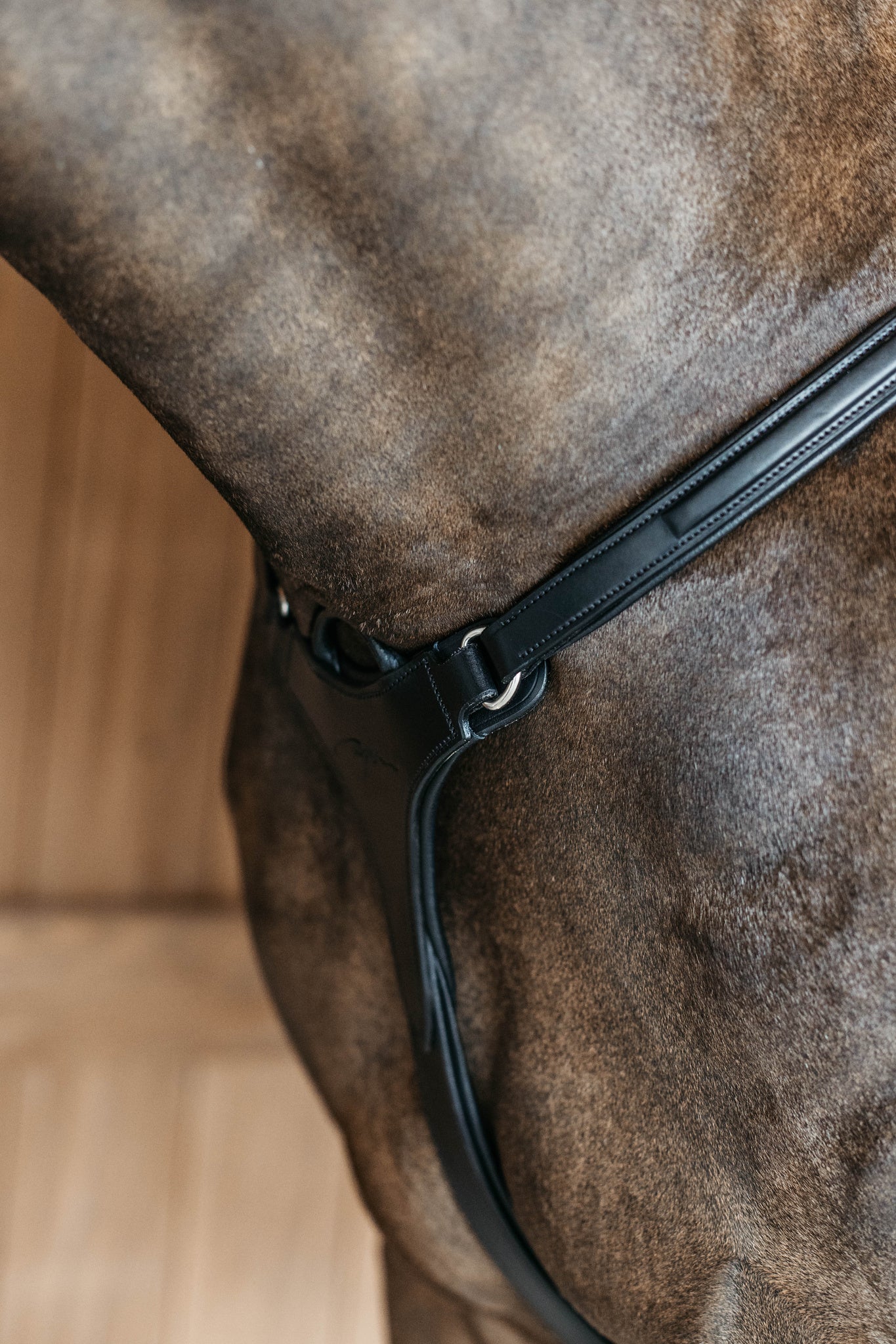 Leather 5 point breastplate with elastic