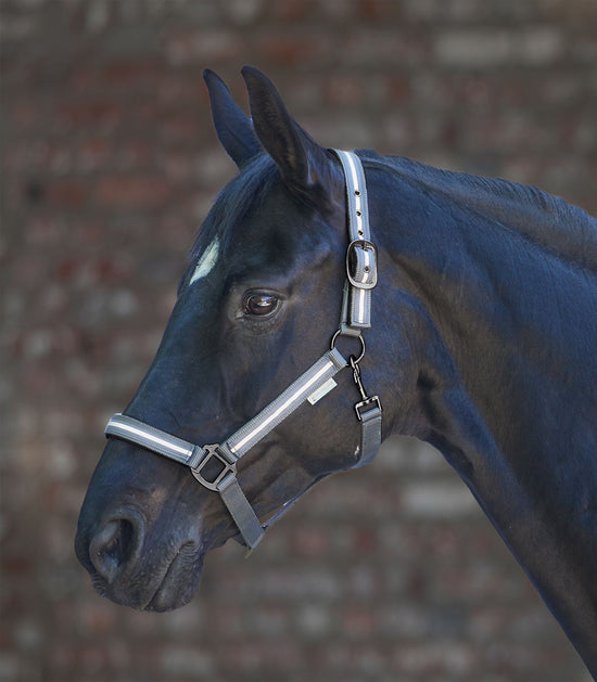 Reflective Horse Halter