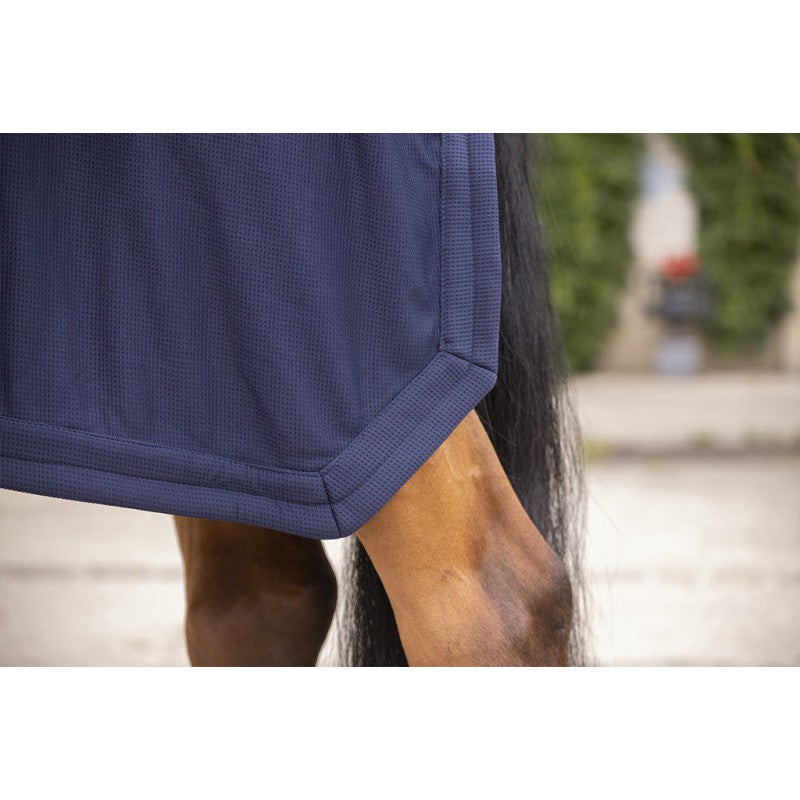 PADDOCK Horse recovery sheet