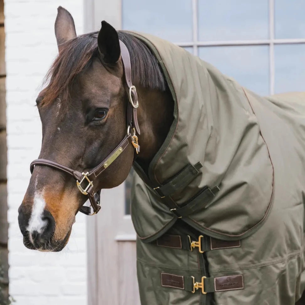 Waterproof turnout neck rug attachment
