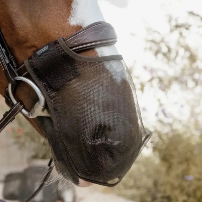 Nose net for horse riding