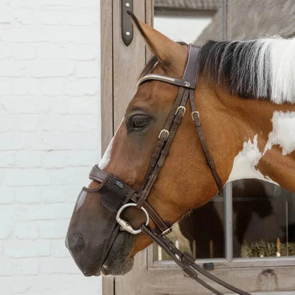 Nose net for show jumping horses 