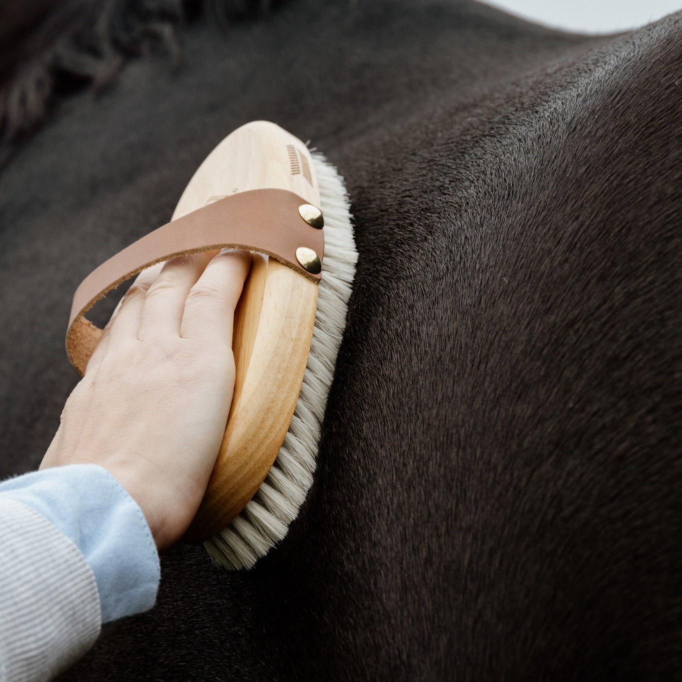 Grooming Deluxe brush