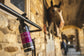 horse mane and tail spray