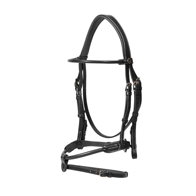 high-quality bridle