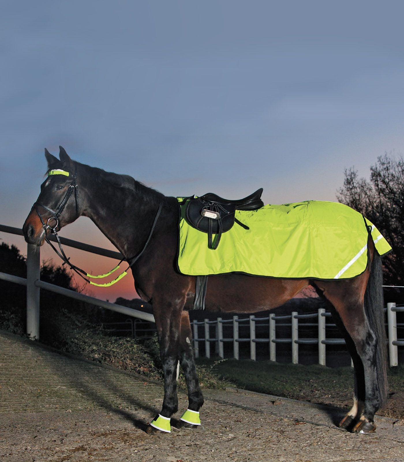 Reflective waterproof exercise rug