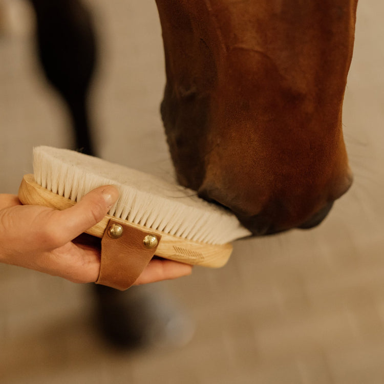 Grooming Deluxe brush