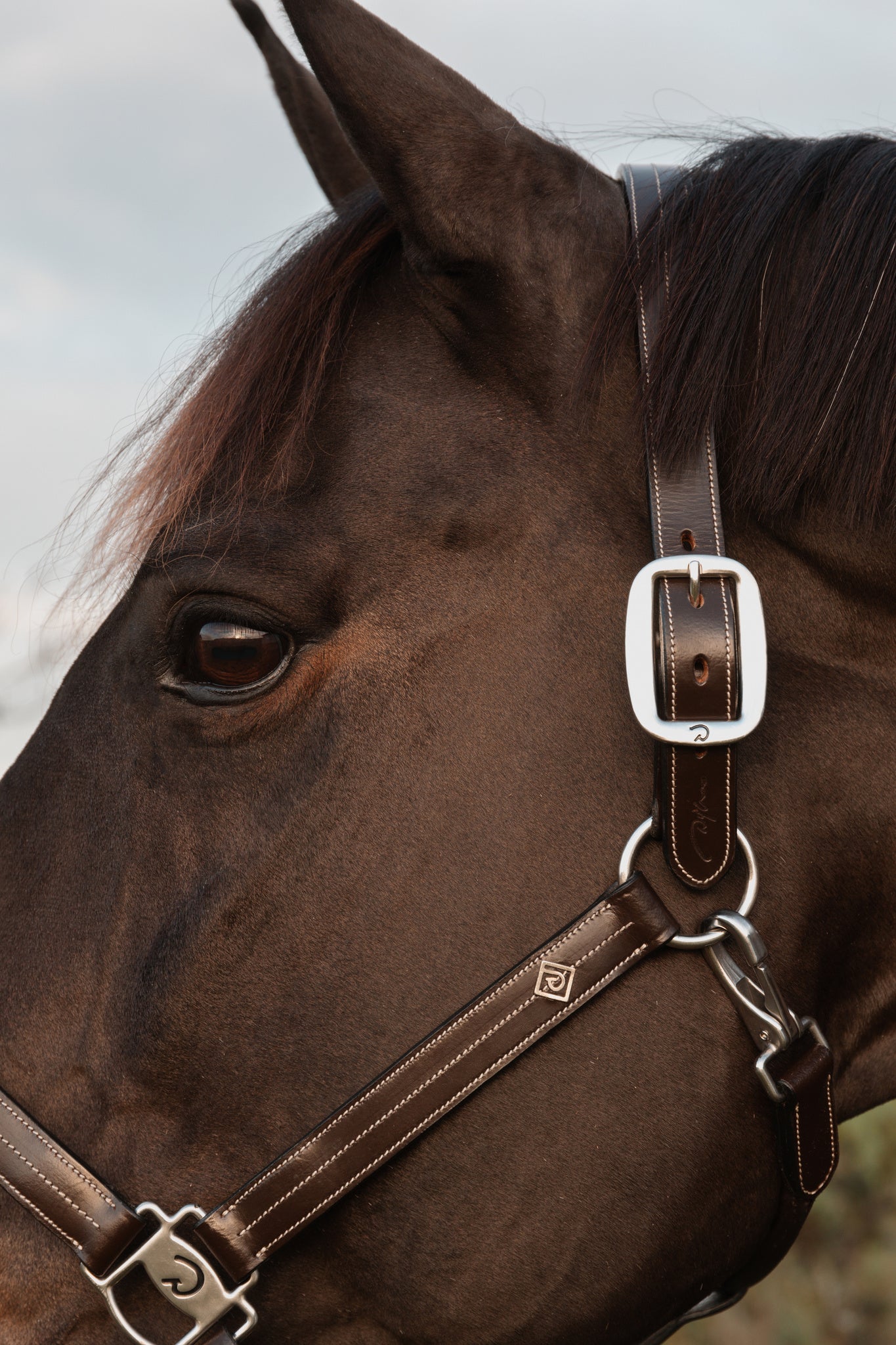 Adjustable leather halter