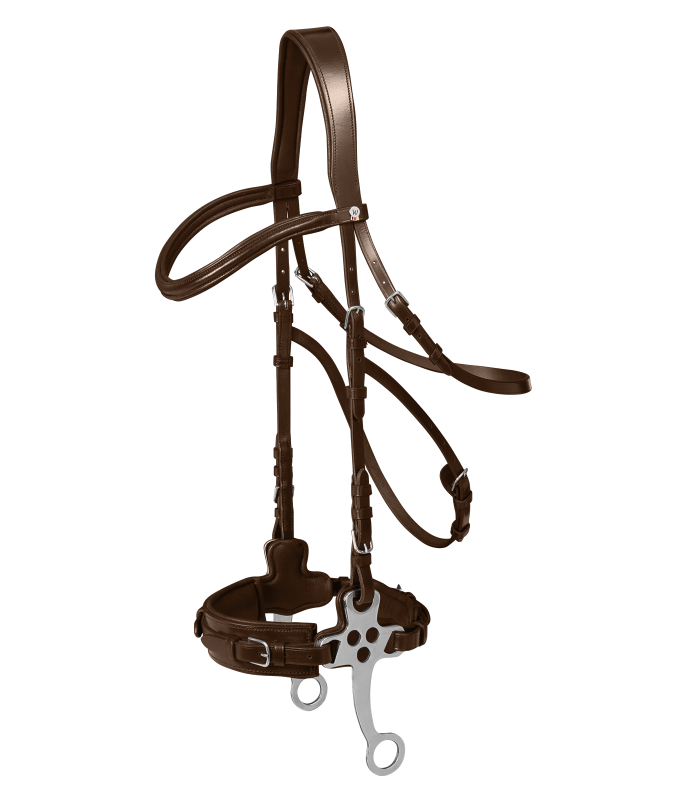 Hackamore bridle for horses 