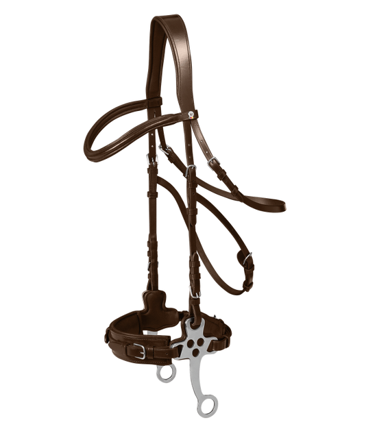 Hackamore bridle for horses 